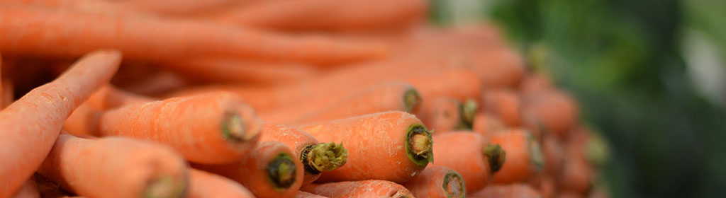 Carrots